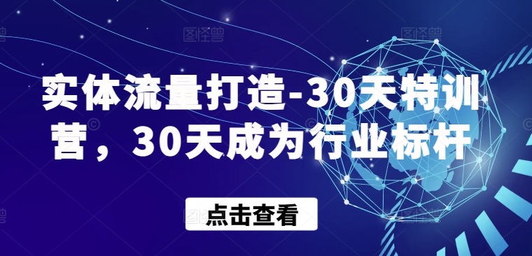 实体流量打造-30天特训营，30天成为行业标杆-创业吧