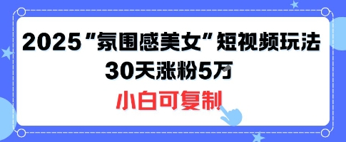 不露脸也能火！2025“氛围感美女”短视频玩法，30天涨粉5W小白可复制-创业吧