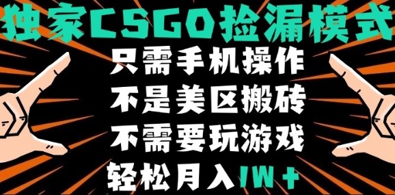 CSGO自动捡漏项目，最新独家玩法，不是美区搬砖，不需要了解和玩游戏，新手小白轻松月入1W+【揭秘】-创业吧