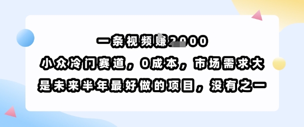 一条视频挣1k，小众冷门赛道，0成本，市场需求大，是未来半年最好做的项目，没有之一-创业吧