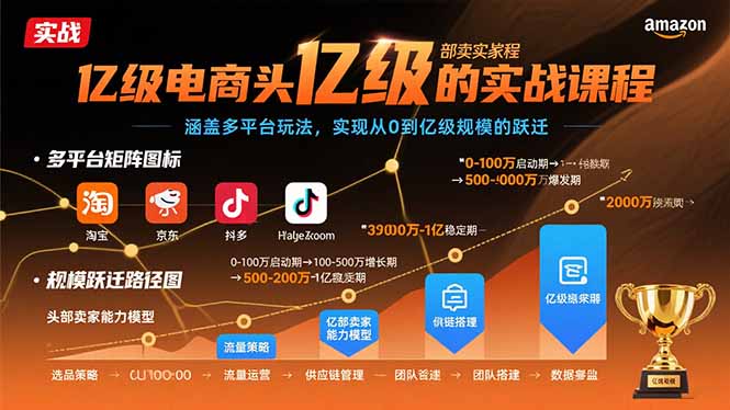 亿级电商头部卖家的实战课程：涵盖多平台玩法，实现从0到亿级规模的跃迁-创业吧