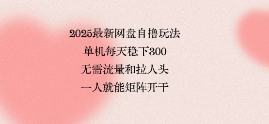 2025最新网盘自撸玩法，单机每天稳下3张，无需流量和拉人头，一个人就可轻松矩阵，全网独一份【揭秘】-创业吧
