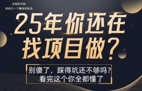 25年，你还在疯狂的找项目吗？别傻了，看完这个你都懂了【揭秘】-创业吧