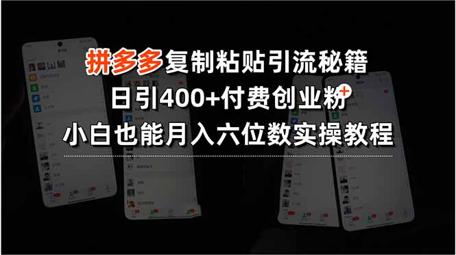 拼多多复制粘贴引流秘籍，日引400+付费创业粉，小白也能月入六位数实操…-创业吧