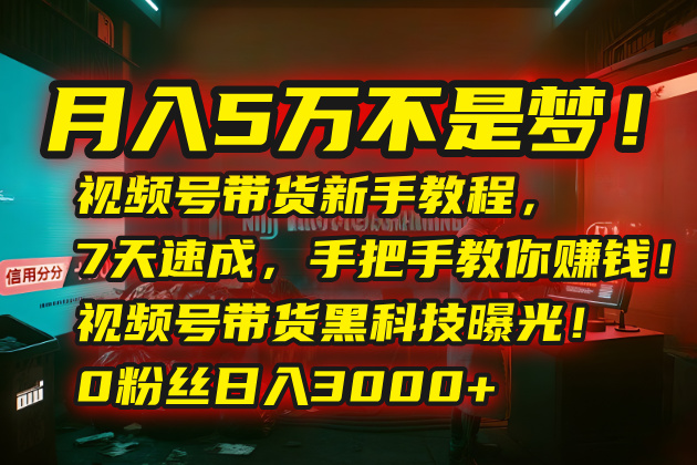 月入5万不是梦！视频号带货新手教程，7天速成，手把手教你赚钱！视频号…-创业吧