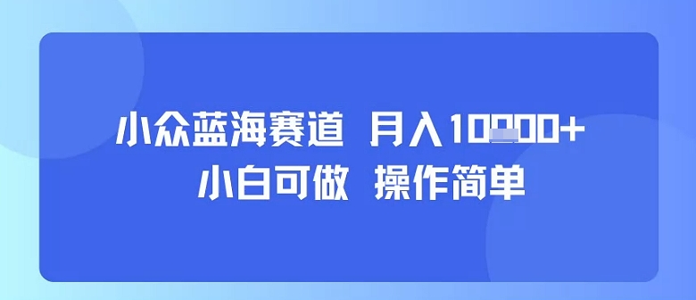 小众蓝海赛道，小白可做，操作简单，每天30分钟，月入1W+-创业吧