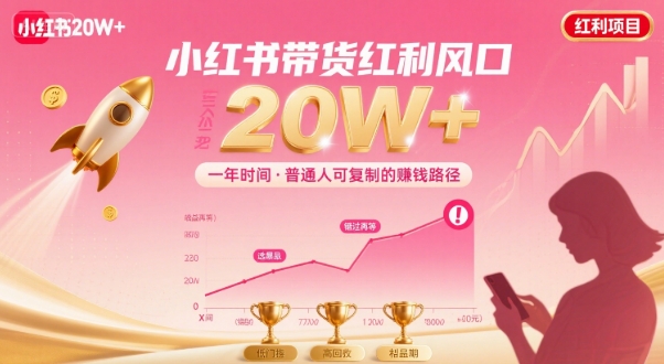 一年时间靠小红书带货项目年入20w+，最不能错的大红利项目-创业吧