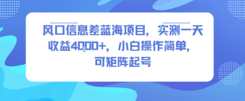 风口信息差蓝海项目，实测一天收益4k+，小白操作简单，可矩阵起号-创业吧