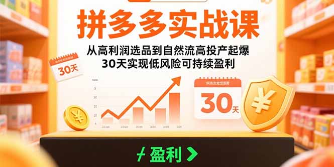 拼多多实战课：从高利润选品到自然流高投产起爆 30天实现低风险可持续盈利-创业吧