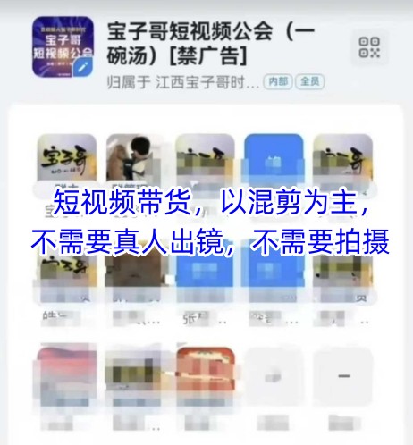 宝子哥头部团队短视频带货，以混剪为主，不需要真人出镜，不需要拍摄【更新8月】-创业吧