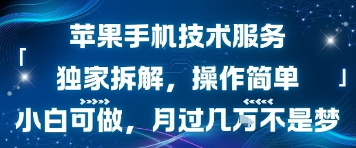 苹果手机技术服务，独家拆解，操作简单，小白可做，月过1W不是梦-创业吧